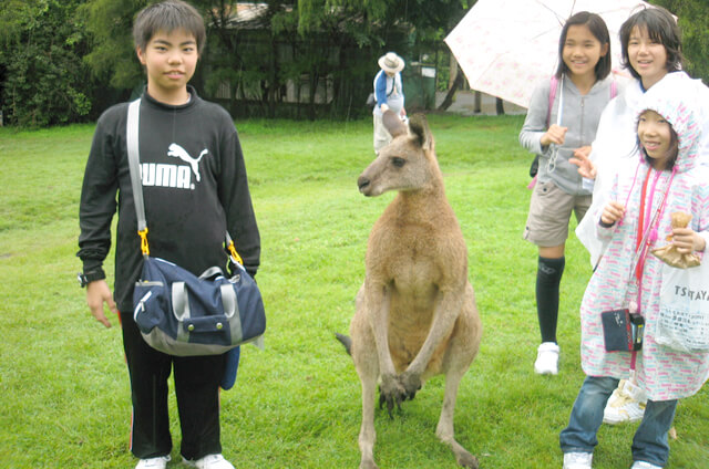 オーストラリア生活体験旅行4